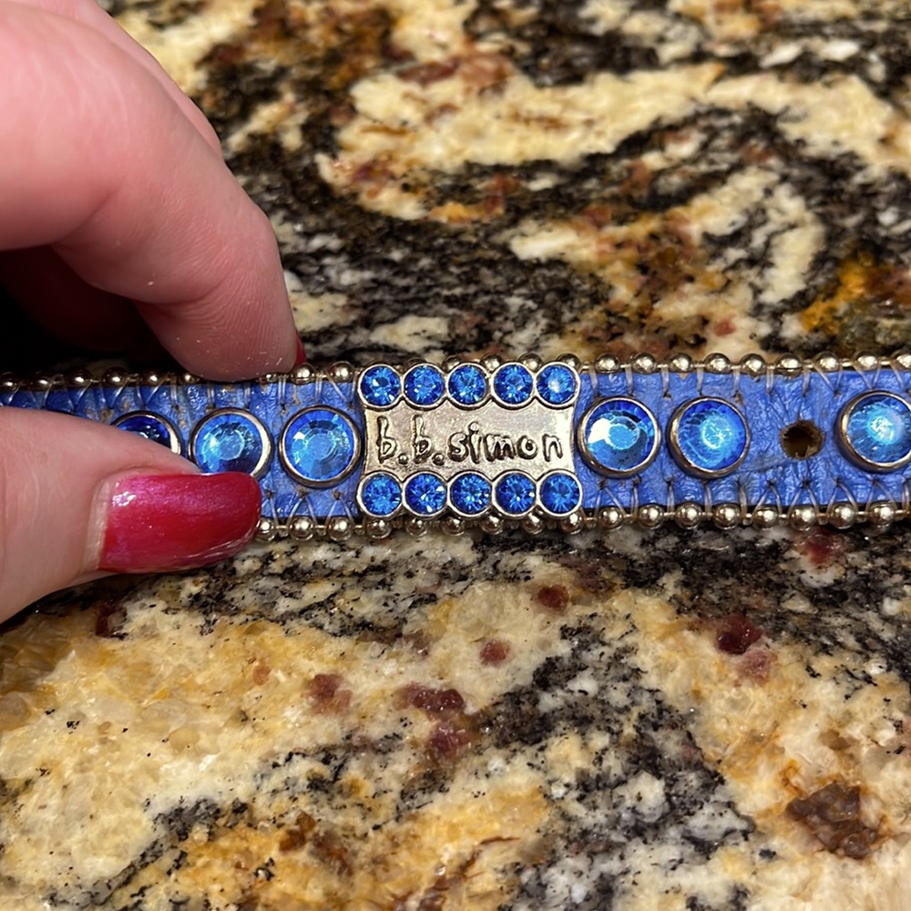 Beautiful blue 12 inch B b Simon dog collar